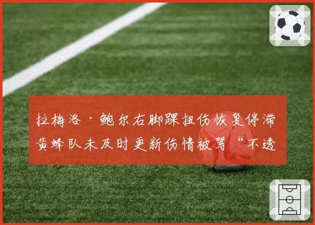 拉梅洛·鲍尔右脚踝扭伤恢复停滞 黄蜂队未及时更新伤情被骂“不透明”