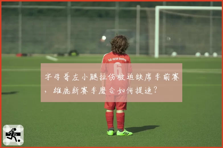 字母哥左小腿拉伤被迫缺席季前赛，雄鹿新赛季磨合如何提速？