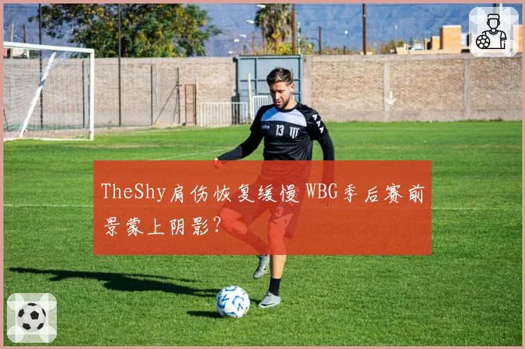 TheShy肩伤恢复缓慢 WBG季后赛前景蒙上阴影？