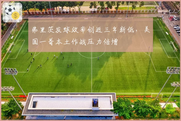 弗里茨发球效率创近三年新低，美国一哥本土作战压力倍增