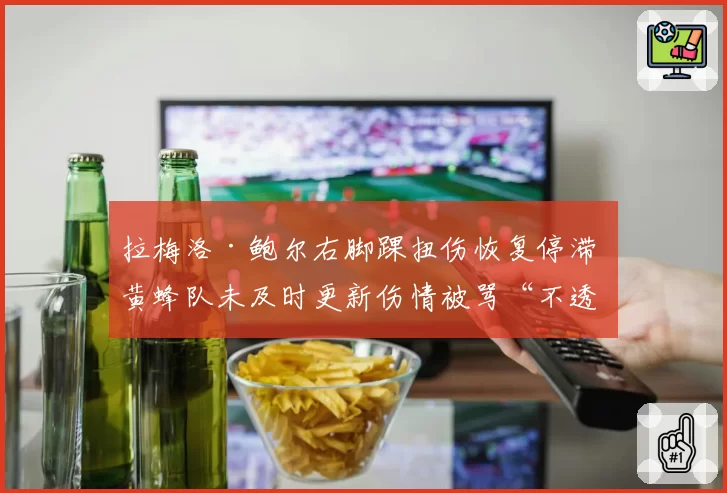 拉梅洛·鲍尔右脚踝扭伤恢复停滞 黄蜂队未及时更新伤情被骂“不透明”